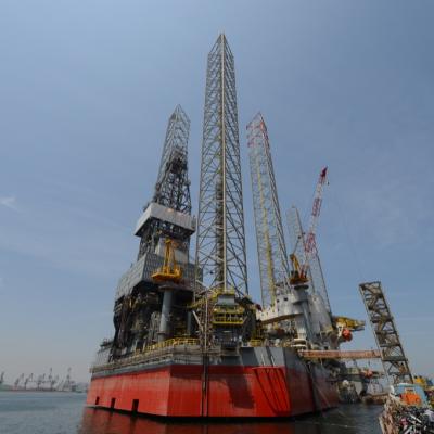 Shallow Water - Harsh Environment » Bluewhale